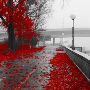 Meet your Posher, Monique